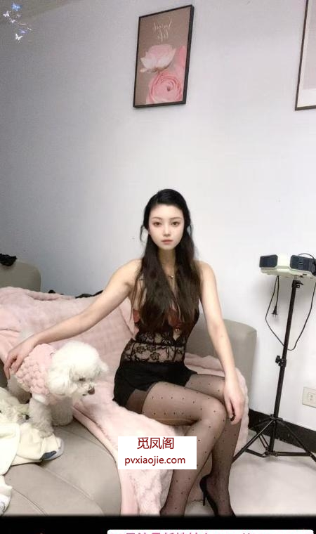 长腿御姐小骚骚